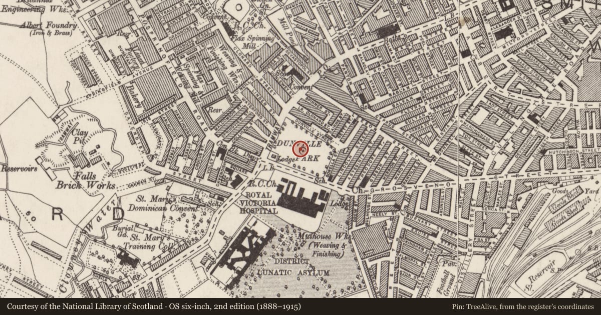Ordnance Survey six-inch map, 2nd edition (1888–1915) covering the location of Fountain, Town Parks, Belfast, with a pin at the register's coordinates