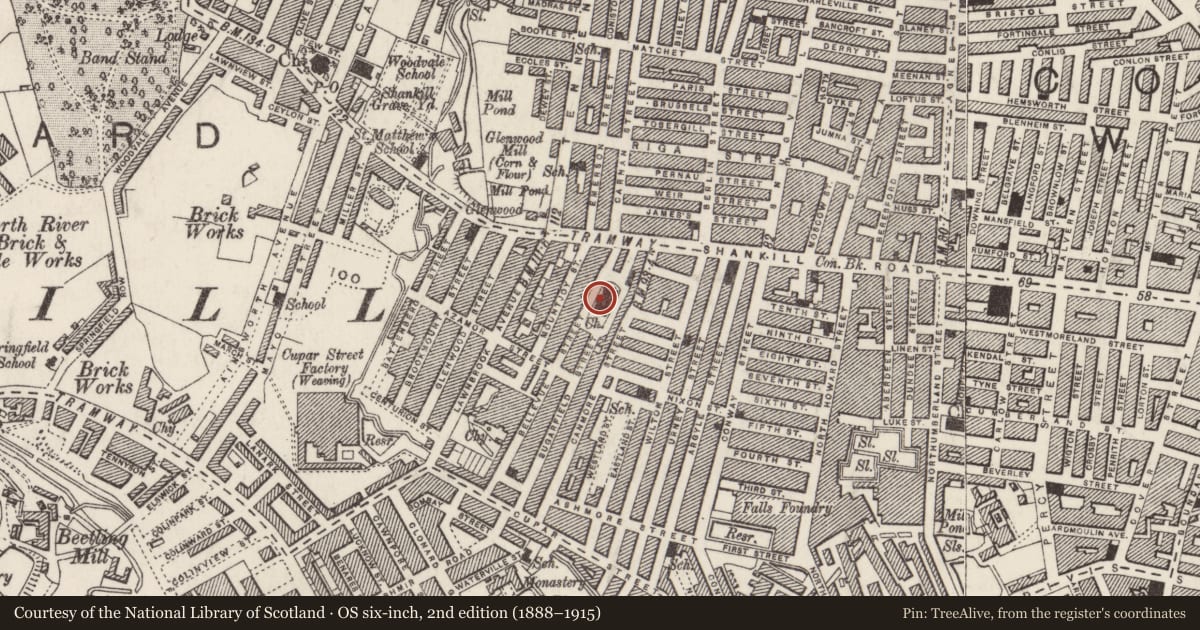 Ordnance Survey six-inch map, 2nd edition (1888–1915) covering the location of Nelson Memorial Presbyterian Church, Town Parks, Belfast, with a pin at the register's coordinates