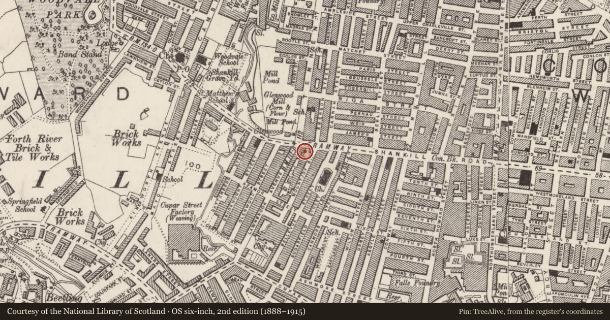Ordnance Survey six-inch map, 2nd edition (1888–1915) covering the location of Carnegie Library, Town Parks, Belfast, with a pin at the register's coordinates