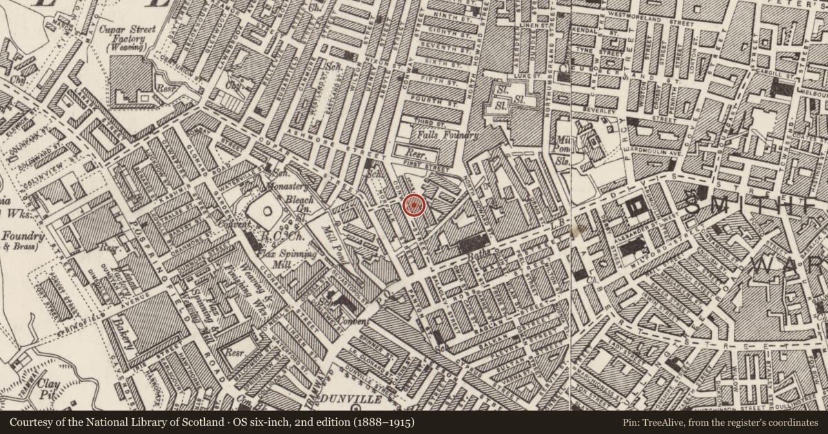 Ordnance Survey six-inch map, 2nd edition (1888–1915) covering the location of Conway Mill, Town Parks/Edenderry, Belfast, with a pin at the register's coordinates