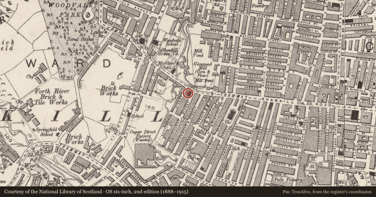 Ordnance Survey six-inch map, 2nd edition (1888–1915) covering the location of West Belfast Orange Hall, Town Parks, Belfast, with a pin at the register's coordinates