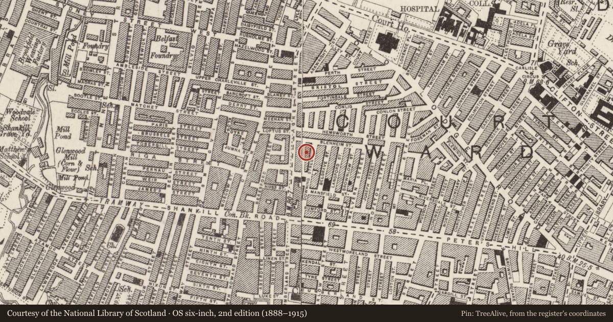 Ordnance Survey six-inch map, 2nd edition (1888–1915) covering the location of Methodist Church, Belfast, with a pin at the register's coordinates