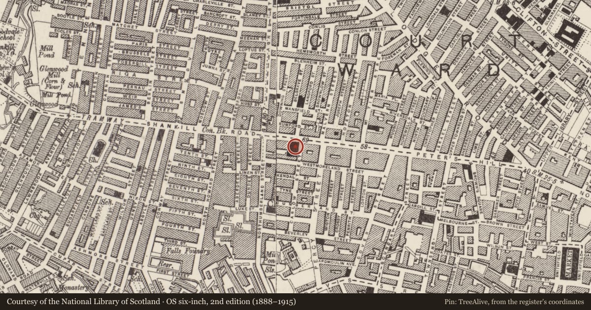 Ordnance Survey six-inch map, 2nd edition (1888–1915) covering the location of Albert Hall (aka Shankill Mission Hall), Town Parks, Belfast, with a pin at the register's coordinates