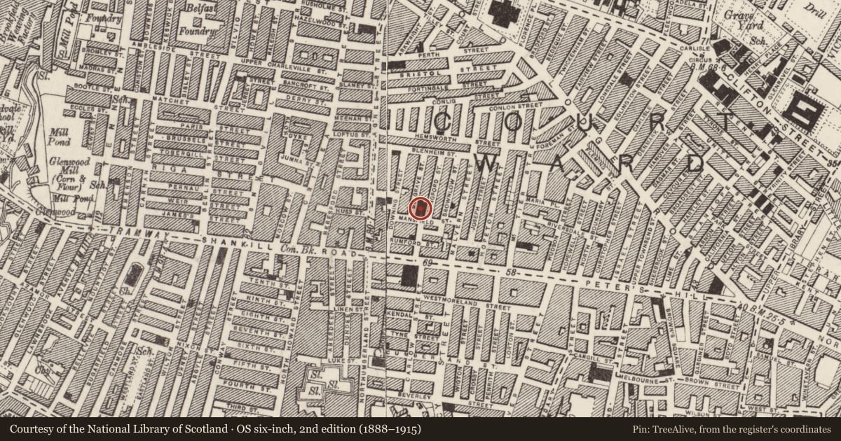 Ordnance Survey six-inch map, 2nd edition (1888–1915) covering the location of St Michael's Church of Ireland, Town Parks, Belfast, with a pin at the register's coordinates