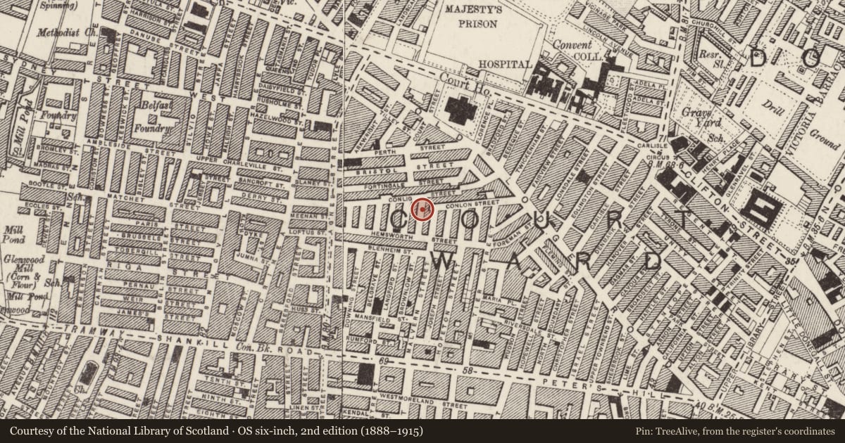 Ordnance Survey six-inch map, 2nd edition (1888–1915) covering the location of Malvern Primary School, Town Parks, Belfast, with a pin at the register's coordinates