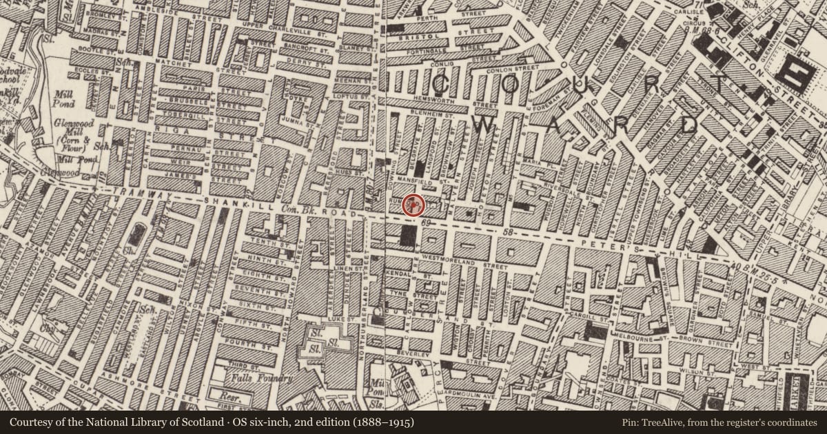 Ordnance Survey six-inch map, 2nd edition (1888–1915) covering the location of 117 Shankill Road, Town Parks, Belfast, with a pin at the register's coordinates