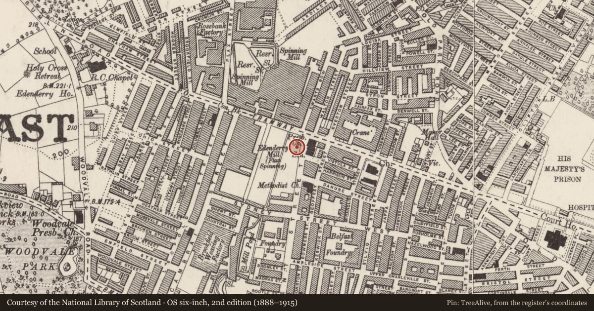 Ordnance Survey six-inch map, 2nd edition (1888–1915) covering the location of 286 Tennent Street, Town Parks, Belfast, with a pin at the register's coordinates
