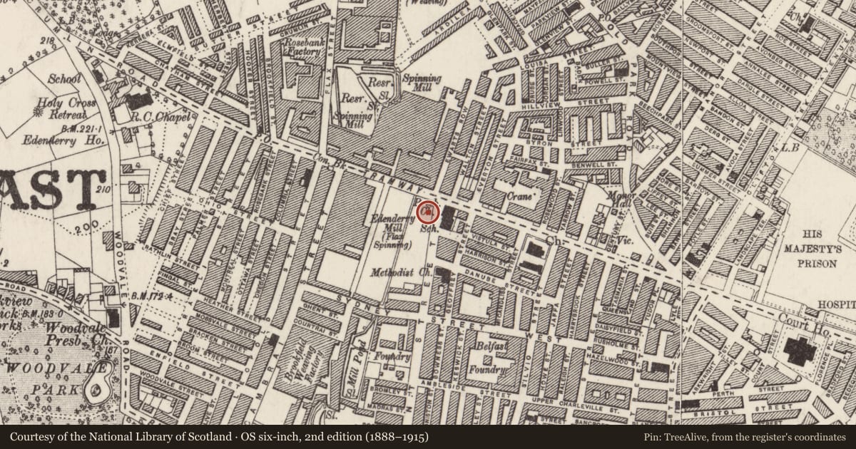 Ordnance Survey six-inch map, 2nd edition (1888–1915) covering the location of 290 Tennent Street, Town Parks, Belfast, with a pin at the register's coordinates