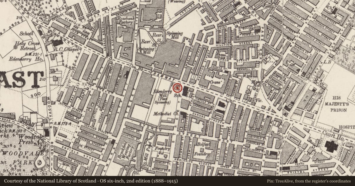Ordnance Survey six-inch map, 2nd edition (1888–1915) covering the location of 292 Tennent Street, Town Parks, Belfast, with a pin at the register's coordinates