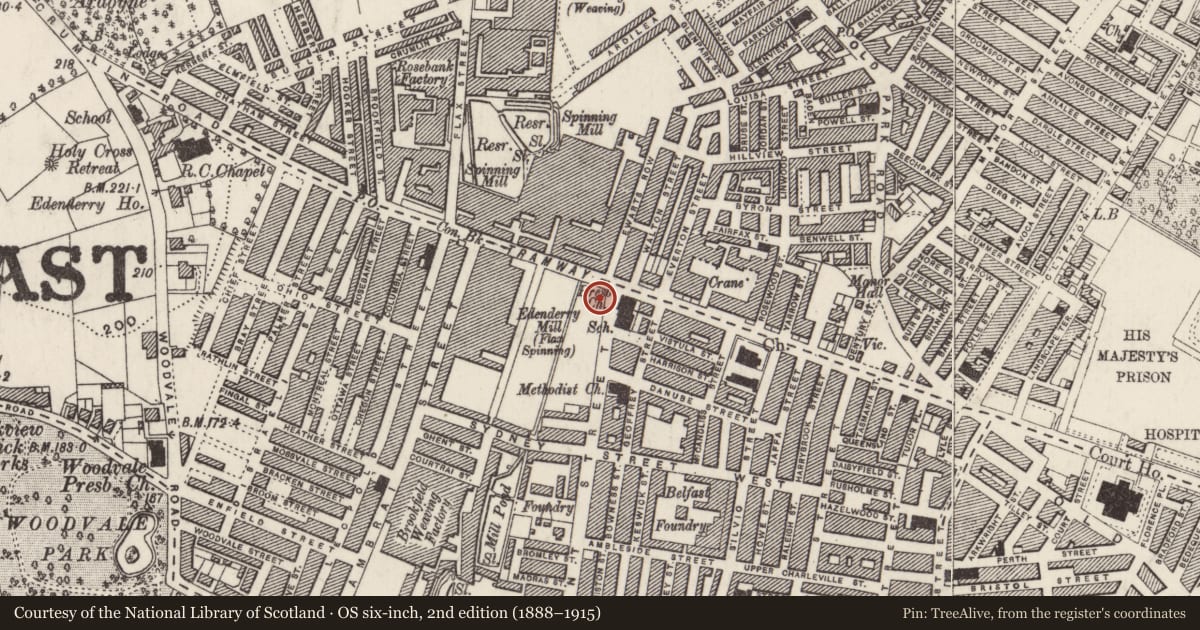 Ordnance Survey six-inch map, 2nd edition (1888–1915) covering the location of 294 Tennent Street, Town Parks, Belfast, with a pin at the register's coordinates