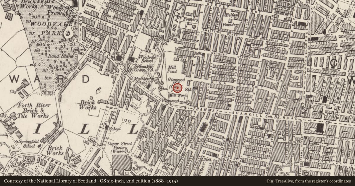 Ordnance Survey six-inch map, 2nd edition (1888–1915) covering the location of Glenwood Primary School, Town Parks, Belfast, with a pin at the register's coordinates