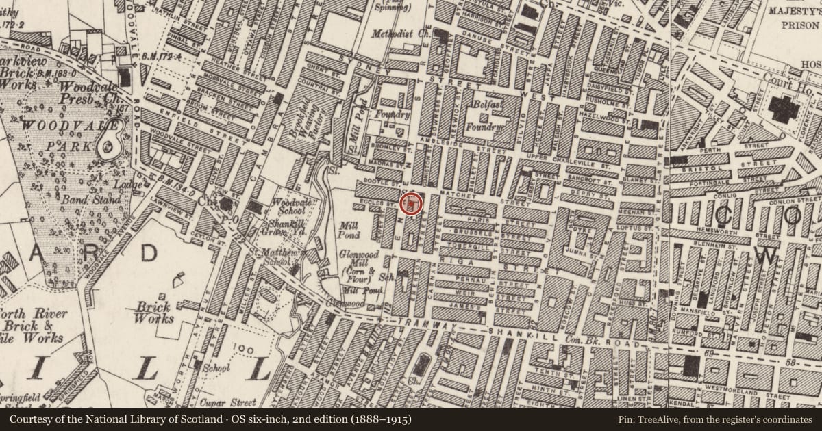 Ordnance Survey six-inch map, 2nd edition (1888–1915) covering the location of John White Memorial Congregational Church Hall, Town Parks, Belfast, with a pin at the register's coordinates