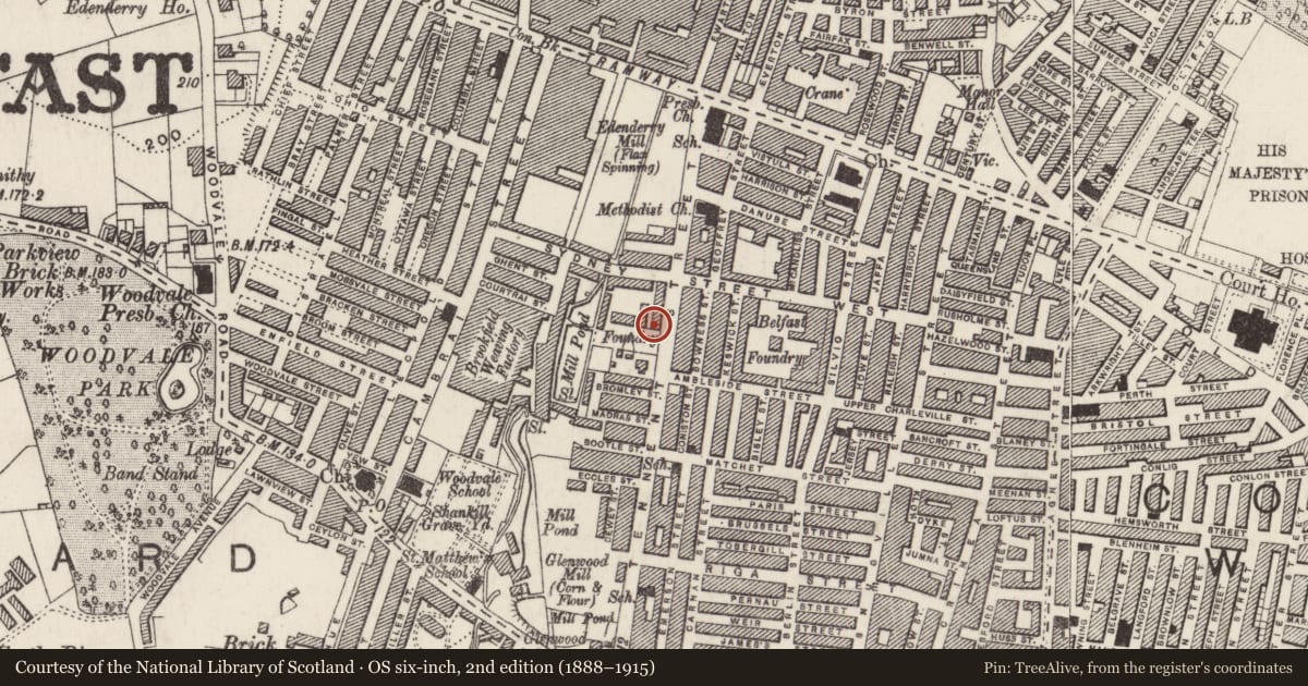 Ordnance Survey six-inch map, 2nd edition (1888–1915) covering the location of 'David Alexander Builders' Merchant', Belfast Town Parks, Belfast, with a pin at the register's coordinates
