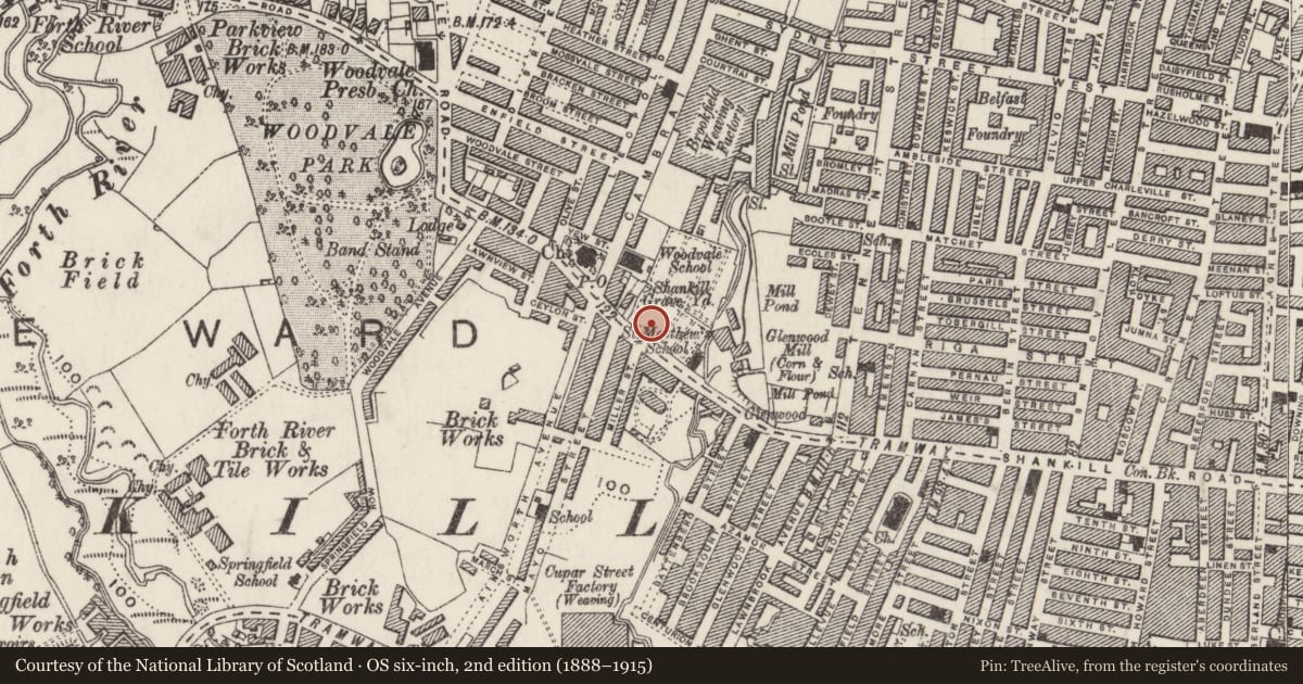 Ordnance Survey six-inch map, 2nd edition (1888–1915) covering the location of Shankill Graveyard Gateway, Boundary Wall and Railings, Shankill Road, Edenderry, Belfast, with a pin at the register's coordinates