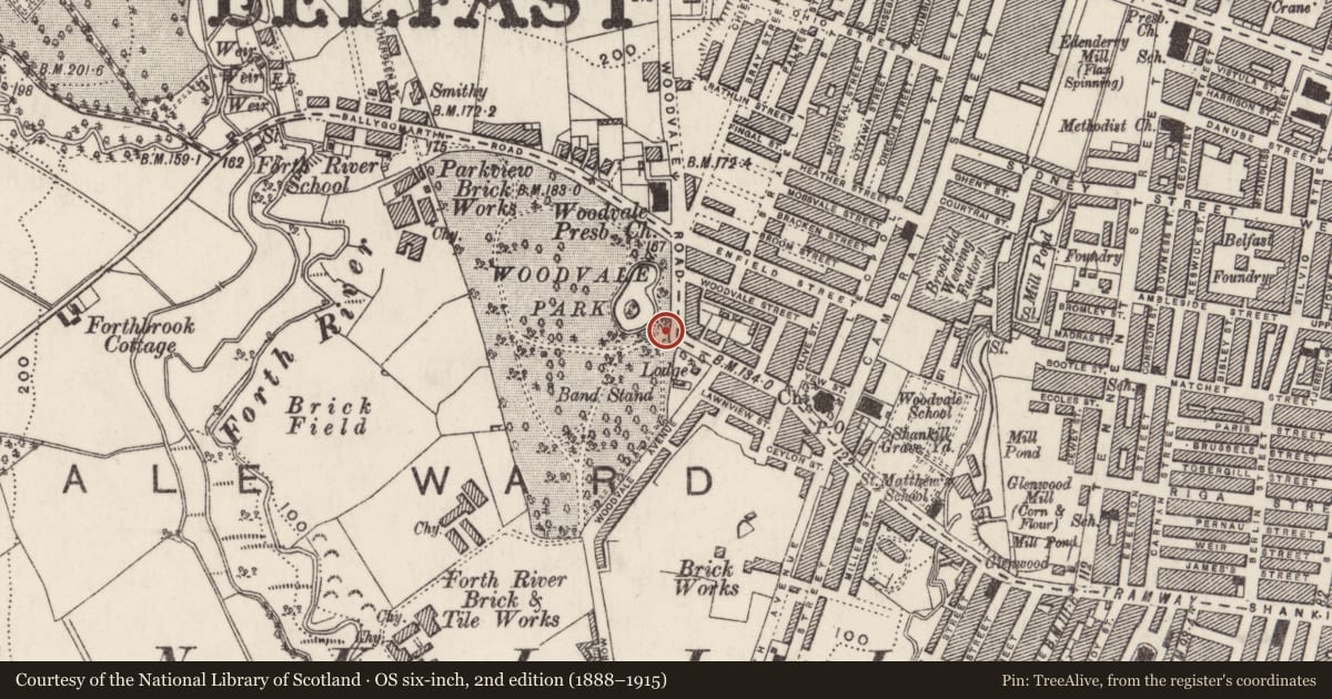 Ordnance Survey six-inch map, 2nd edition (1888–1915) covering the location of Woodvale Park, Gate Piers, Gates and Railings, Woodvale Road, Belfast, Belfast, with a pin at the register's coordinates