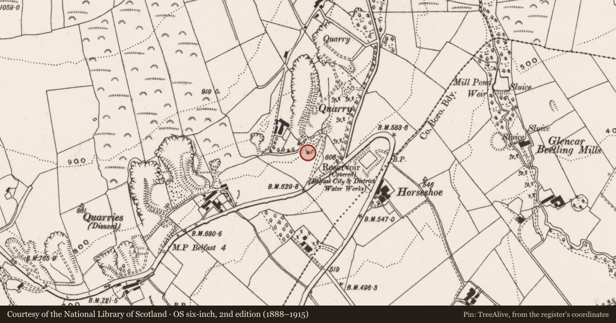 Ordnance Survey six-inch map, 2nd edition (1888–1915) covering the location of Lime Kilns, Upper Ballysillan, Belfast, with a pin at the register's coordinates