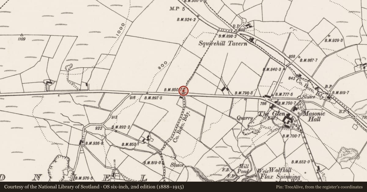 Ordnance Survey six-inch map, 2nd edition (1888–1915) covering the location of Parliamentary boundary post, Legoniel, Belfast, with a pin at the register's coordinates