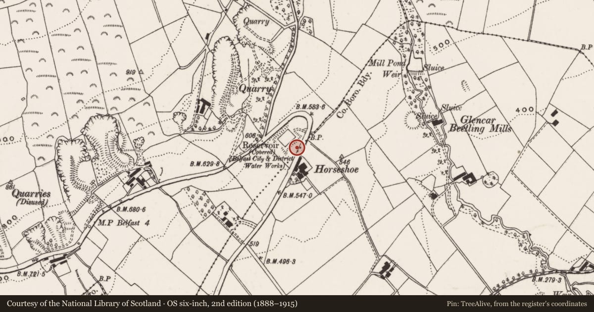 Ordnance Survey six-inch map, 2nd edition (1888–1915) covering the location of Boundary Marker, Horse Shoe Bend, Crumlin Road, Ligoneil, Belfast BT14 8QS, Old Park, Belfast, with a pin at the register's coordinates