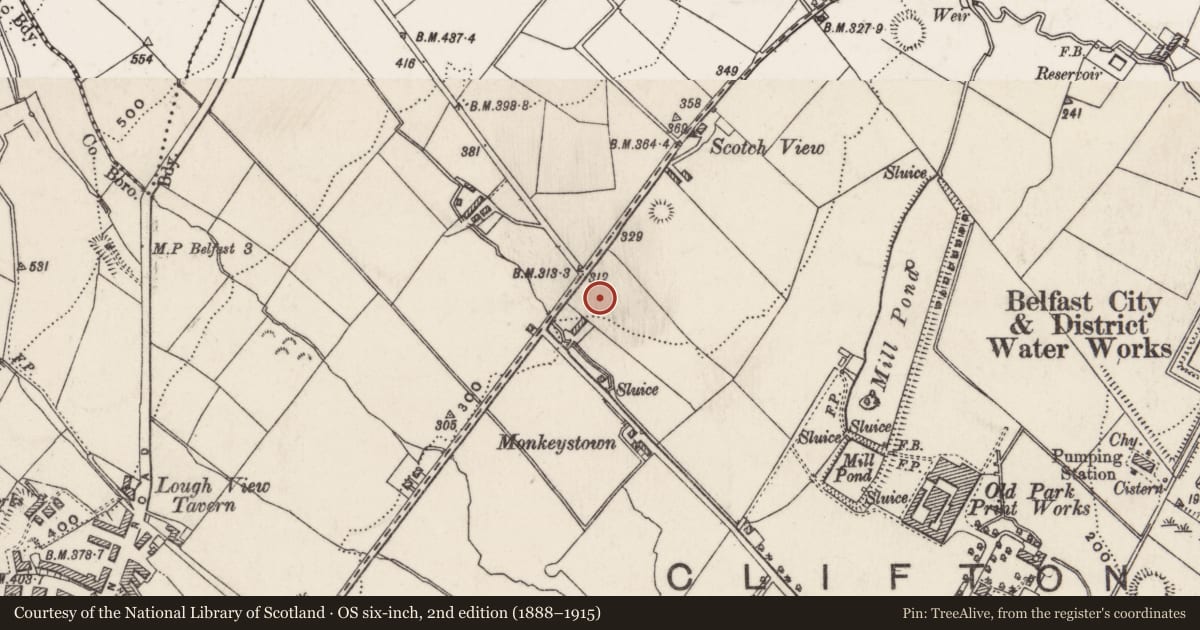 Ordnance Survey six-inch map, 2nd edition (1888–1915) covering the location of Holy Trinity C of I Church, Old Park, Belfast, with a pin at the register's coordinates