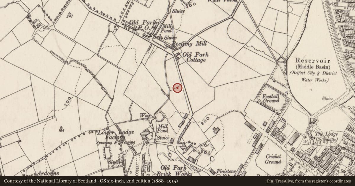 Ordnance Survey six-inch map, 2nd edition (1888–1915) covering the location of Cliftonville Moravian Church, Old Park, Belfast, with a pin at the register's coordinates