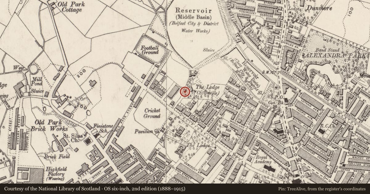 Ordnance Survey six-inch map, 2nd edition (1888–1915) covering the location of Cliftonville Primary School, Town Parks, Belfast, with a pin at the register's coordinates