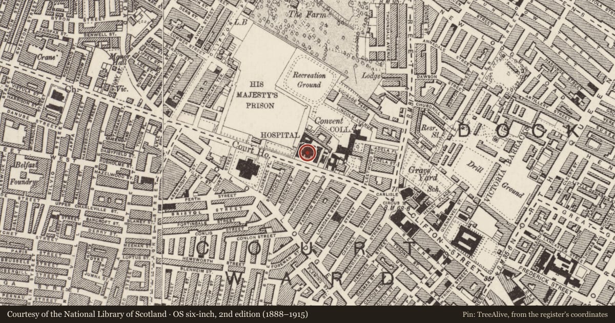 Ordnance Survey six-inch map, 2nd edition (1888–1915) covering the location of Mater Hospital, Town Parks, Belfast, with a pin at the register's coordinates