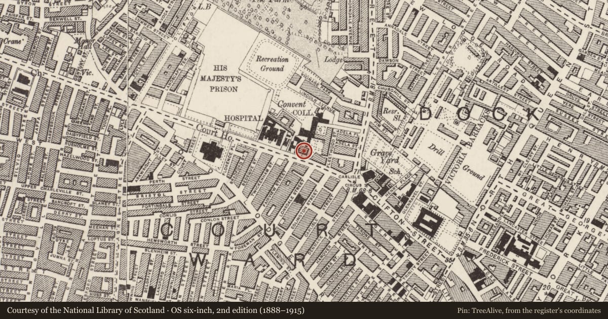 Ordnance Survey six-inch map, 2nd edition (1888–1915) covering the location of Former Nurses Home, Town Parks, with a pin at the register's coordinates