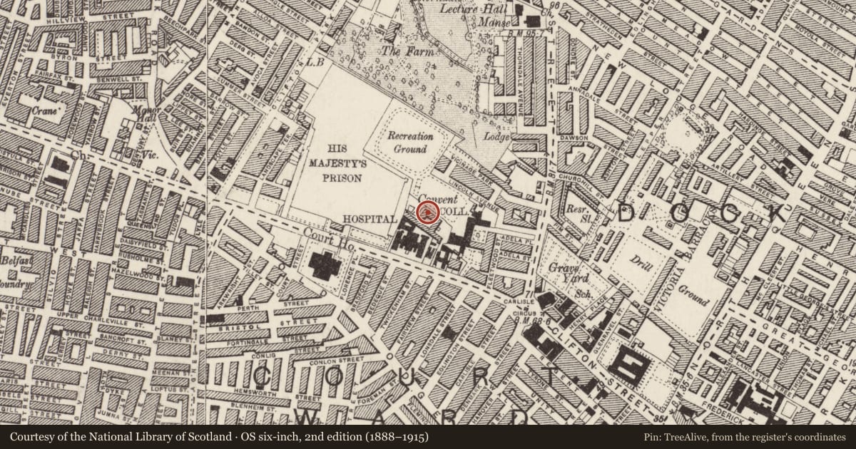 Ordnance Survey six-inch map, 2nd edition (1888–1915) covering the location of St. Paul'S Convent Of Mercy, Belfast, with a pin at the register's coordinates