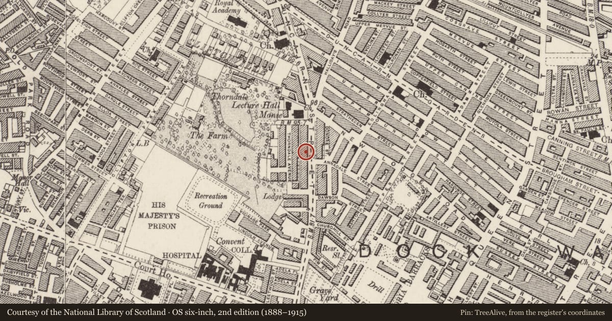 Ordnance Survey six-inch map, 2nd edition (1888–1915) covering the location of Woodbine Cottage, Belfast Town Parks, Belfast, with a pin at the register's coordinates