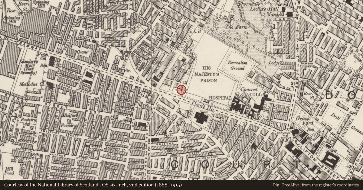 Ordnance Survey six-inch map, 2nd edition (1888–1915) covering the location of Masonic Lodge, Belfast Town Parks, Belfast, with a pin at the register's coordinates