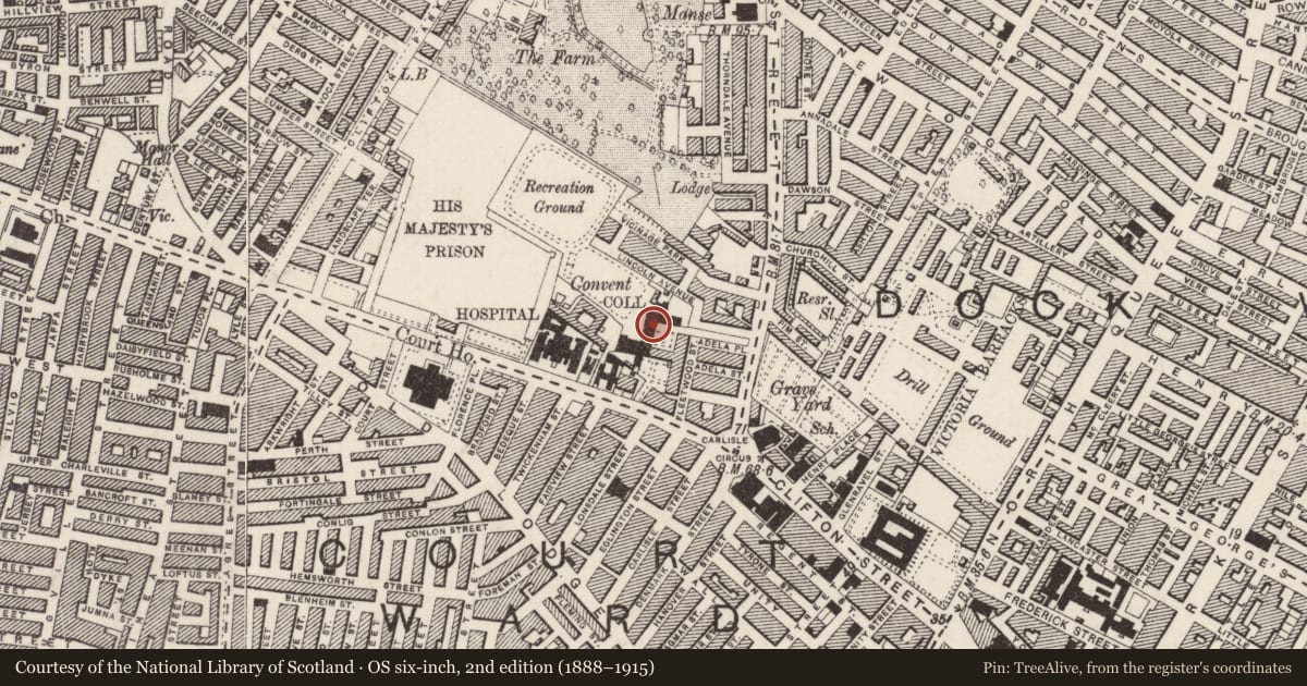 Ordnance Survey six-inch map, 2nd edition (1888–1915) covering the location of St Malachy's College, Town Parks, Belfast, with a pin at the register's coordinates