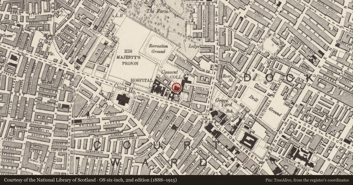 Ordnance Survey six-inch map, 2nd edition (1888–1915) covering the location of Chapel, Town Parks, Belfast, with a pin at the register's coordinates