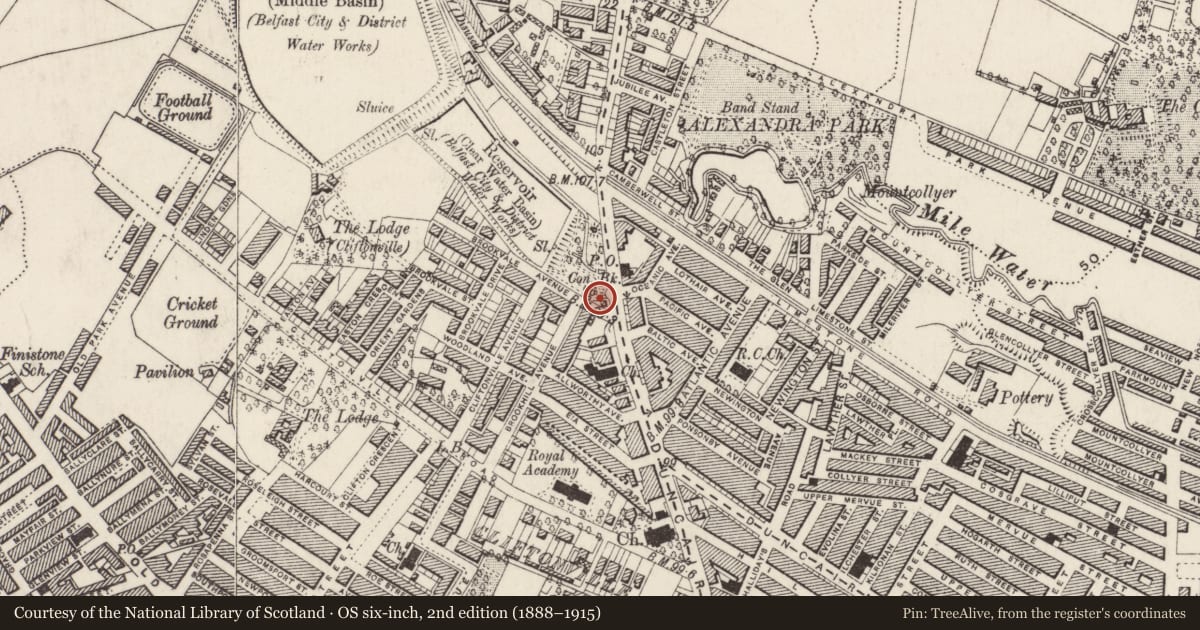 Ordnance Survey six-inch map, 2nd edition (1888–1915) covering the location of 260 Antrim Road, Town Parks, Belfast, with a pin at the register's coordinates