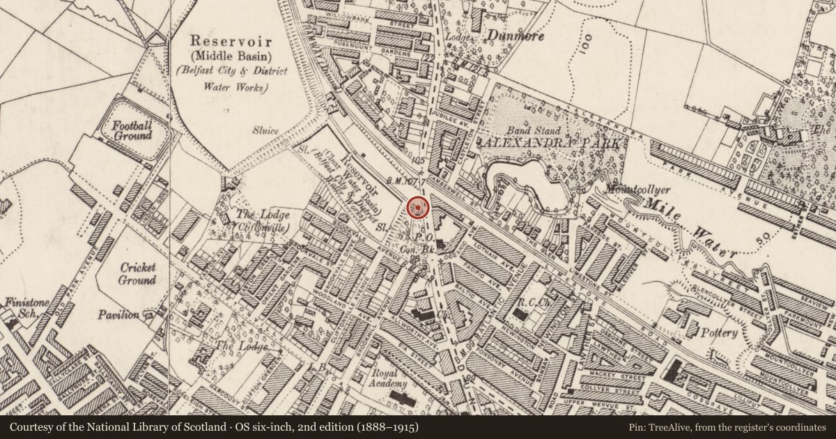 Ordnance Survey six-inch map, 2nd edition (1888–1915) covering the location of Waterworks Park, Town Parks, Belfast, with a pin at the register's coordinates