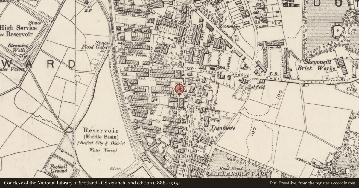 Ordnance Survey six-inch map, 2nd edition (1888–1915) covering the location of 346 Antrim Road, Skegoneill, Belfast, with a pin at the register's coordinates