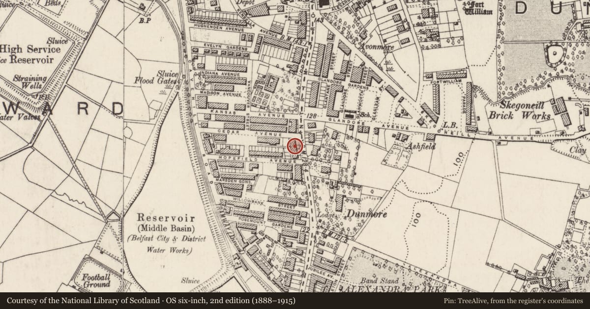 Ordnance Survey six-inch map, 2nd edition (1888–1915) covering the location of 348 Antrim Road, Skegoneill, Belfast, with a pin at the register's coordinates