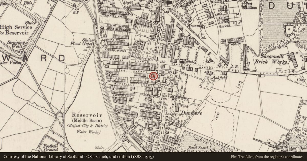 Ordnance Survey six-inch map, 2nd edition (1888–1915) covering the location of 350 Antrim Road, Skegoneill, Belfast, with a pin at the register's coordinates