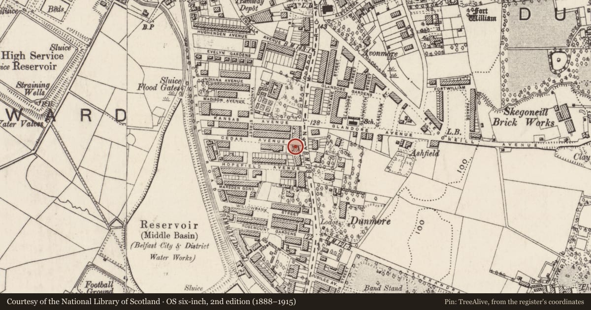 Ordnance Survey six-inch map, 2nd edition (1888–1915) covering the location of 352 Antrim Road, Skegoneill, Belfast, with a pin at the register's coordinates