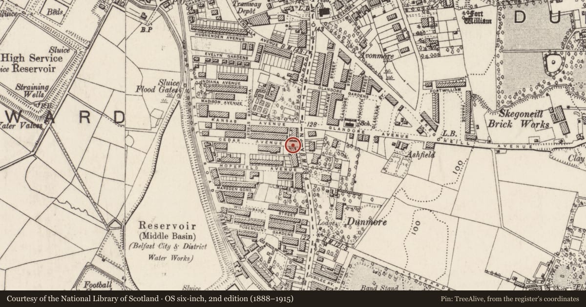 Ordnance Survey six-inch map, 2nd edition (1888–1915) covering the location of 354 Antrim Road, Skegoneill, Belfast, with a pin at the register's coordinates