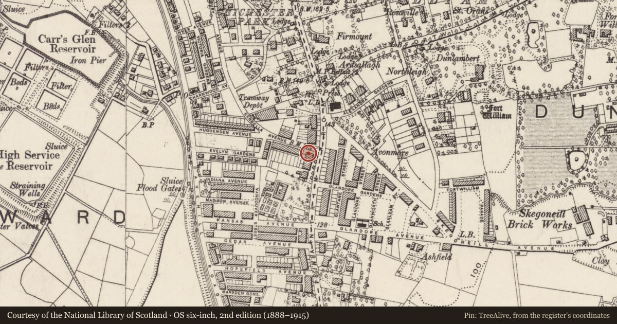 Ordnance Survey six-inch map, 2nd edition (1888–1915) covering the location of Thompson House, Skegoneill, Belfast, with a pin at the register's coordinates