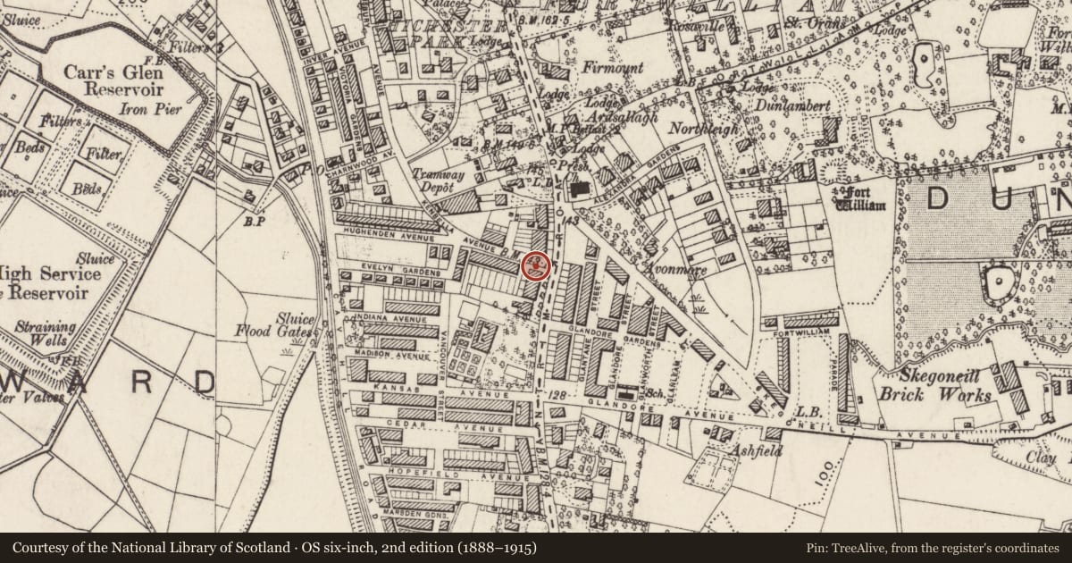 Ordnance Survey six-inch map, 2nd edition (1888–1915) covering the location of Thompson House, Skegoneill, Belfast, with a pin at the register's coordinates