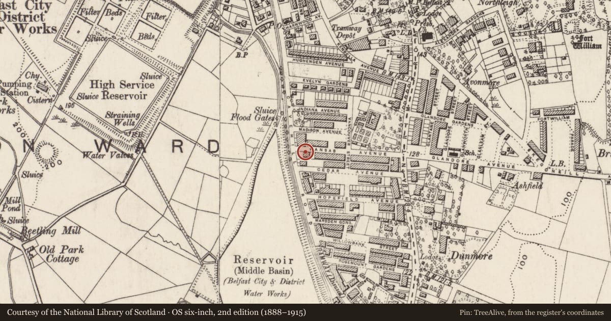 Ordnance Survey six-inch map, 2nd edition (1888–1915) covering the location of 137 Cavehill Road Belfast BT15 5BL, Skegoneill, Belfast, with a pin at the register's coordinates