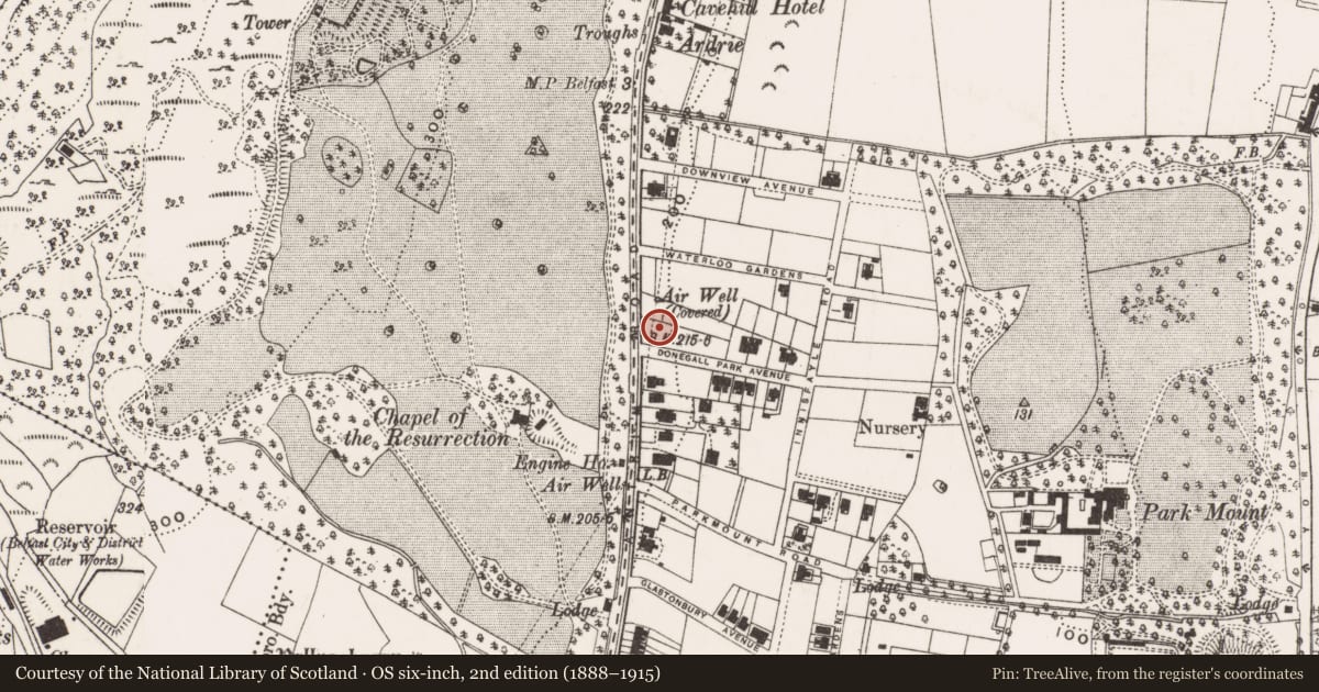 Ordnance Survey six-inch map, 2nd edition (1888–1915) covering the location of Lynn Tara, Low Wood, Belfast, with a pin at the register's coordinates
