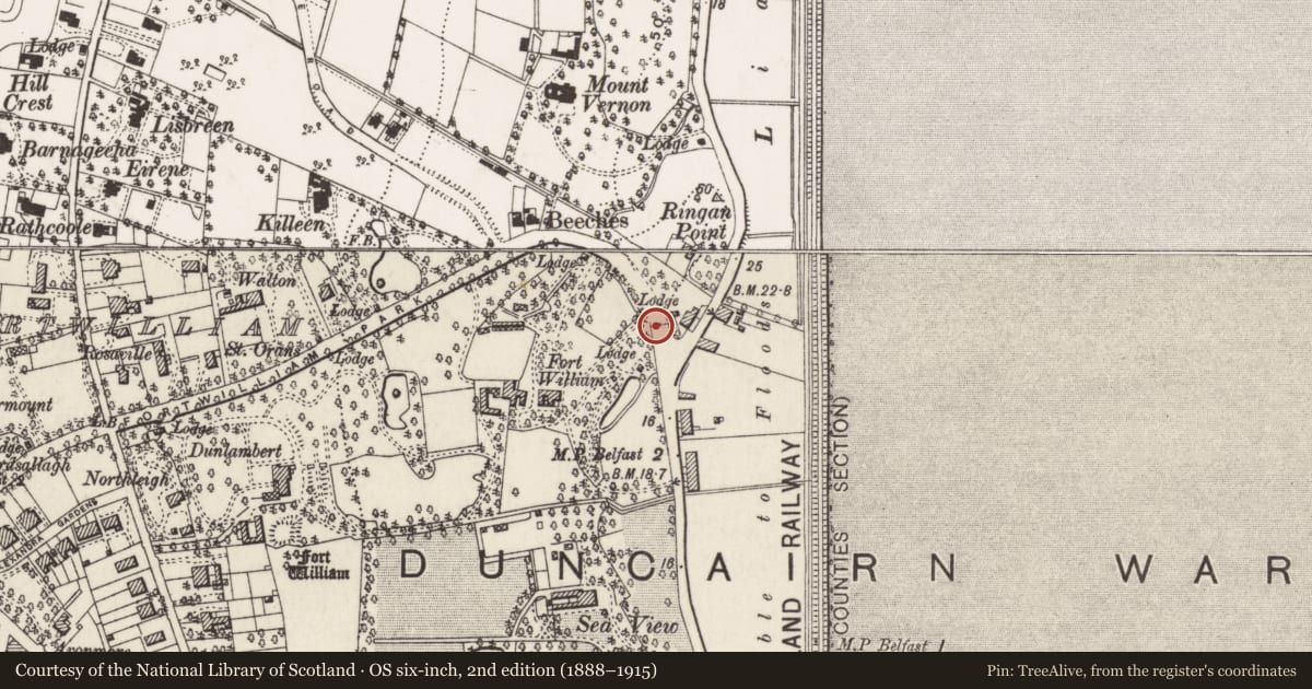 Ordnance Survey six-inch map, 2nd edition (1888–1915) covering the location of Fortwilliam Gateway, Skegoneil, Belfast, with a pin at the register's coordinates
