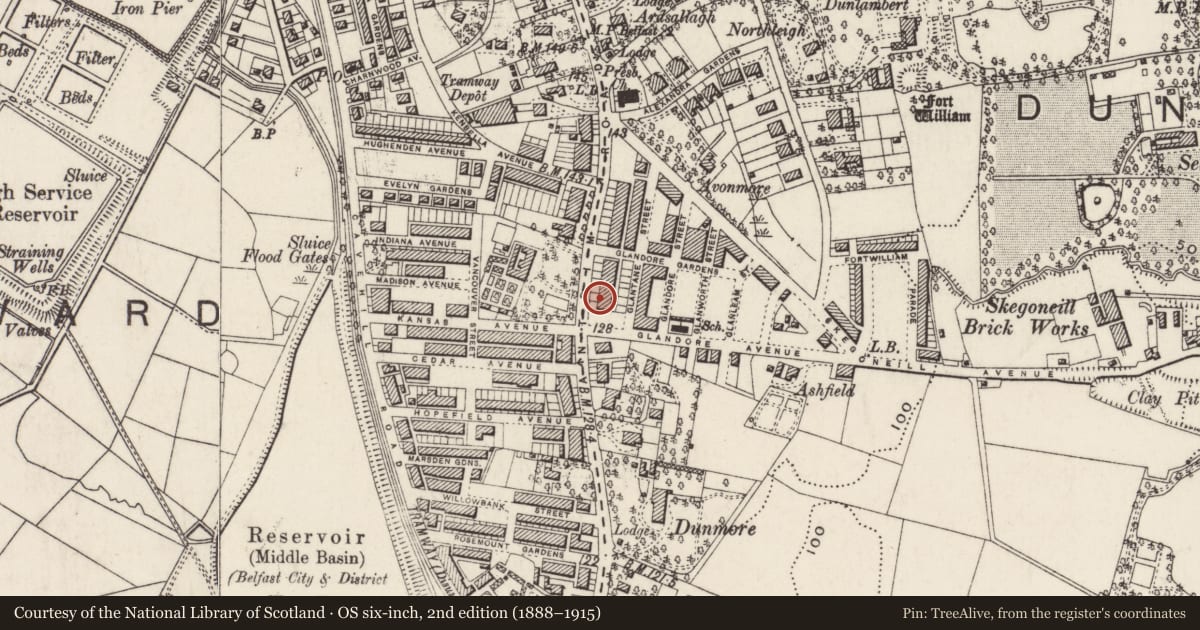 Ordnance Survey six-inch map, 2nd edition (1888–1915) covering the location of 517 Antrim Road, Skegoneill, Belfast, with a pin at the register's coordinates