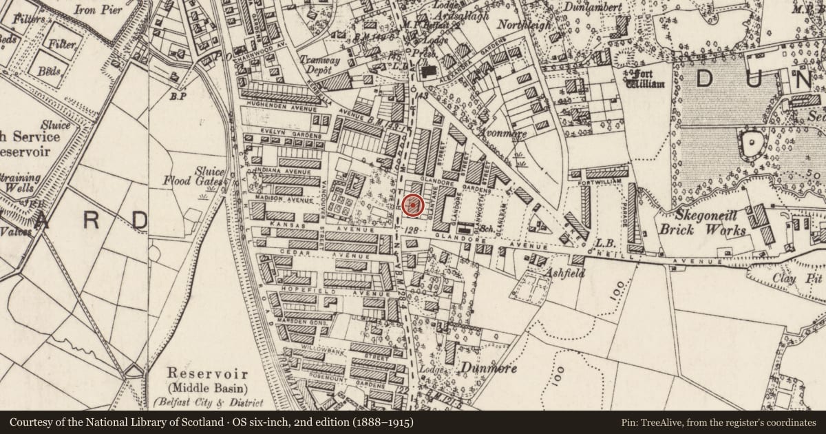 Ordnance Survey six-inch map, 2nd edition (1888–1915) covering the location of 519 Antrim Road, Skegoneill, Belfast, with a pin at the register's coordinates