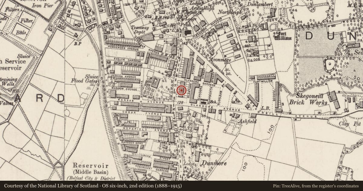 Ordnance Survey six-inch map, 2nd edition (1888–1915) covering the location of 521 Antrim Road, Skegoneill, Belfast, with a pin at the register's coordinates