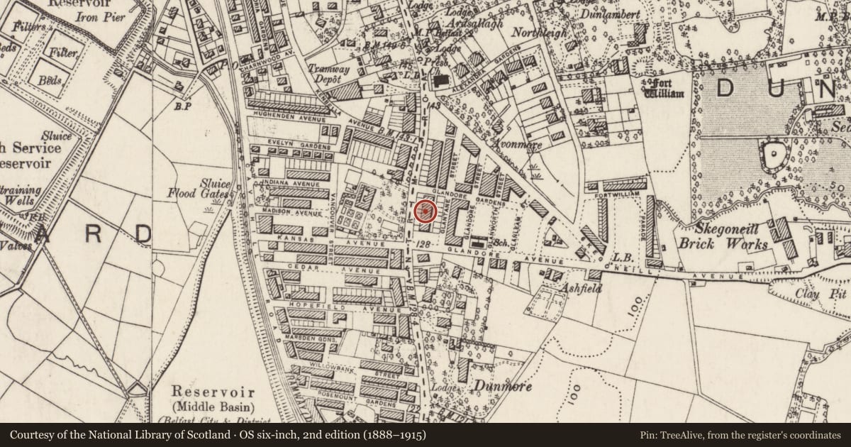 Ordnance Survey six-inch map, 2nd edition (1888–1915) covering the location of 523 Antrim Road, Skegoneill, Belfast, with a pin at the register's coordinates