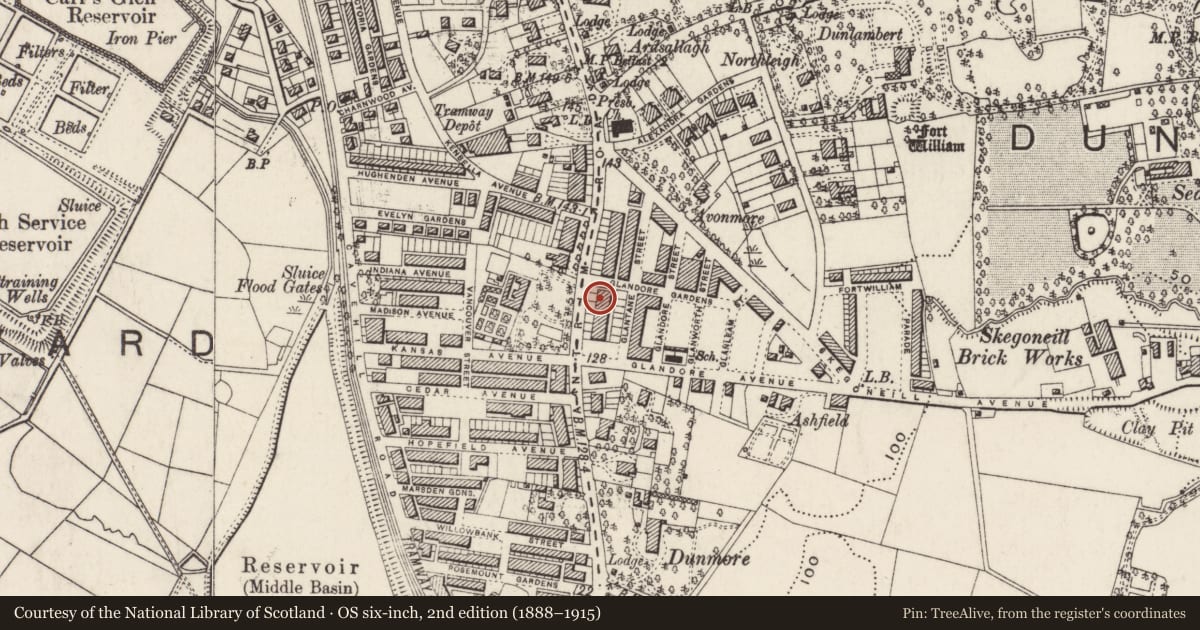Ordnance Survey six-inch map, 2nd edition (1888–1915) covering the location of 529 Antrim Road, Skegoneill, Belfast, with a pin at the register's coordinates