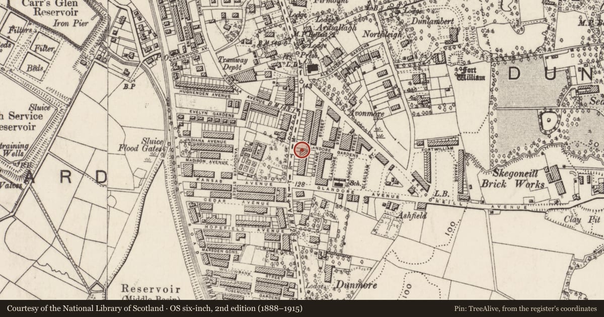 Ordnance Survey six-inch map, 2nd edition (1888–1915) covering the location of 531 Antrim Road, Skegoneill, Belfast, with a pin at the register's coordinates